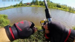 Финальный Отчет по Светлым Горам