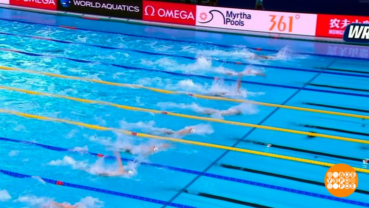 Чемпионат мира по водным видам спорта: итоги. Доброе утро. Фрагмент выпуска от 04.08.2025