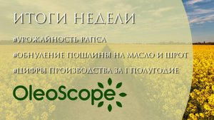 Первые цифры уборочной рапса, производство растительных масел по итогам полугодия, экспортная пошлин