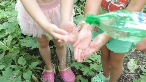 Видео-рекомендации о безопасном для здоровья пикнике