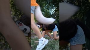 туториал по квадробике! учимся всему в квадробике! ❤🧡💛💚💙💜🖤🤍🤎