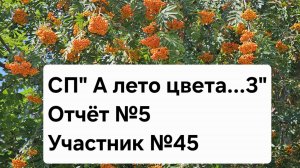 СП " А лето цвета...3" Отчёт №5. Участник №45.
