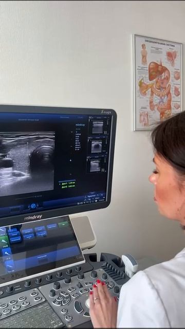 Шишмакова Юлия Юрьевна - Врач ультразвуковой диагностики УЗИ гастроцентра Уфимцева