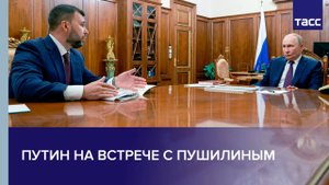 Путин на встрече с Пушилиным