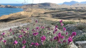 По Крыму пешком над Орджоникидзе и Коктебелем и из Феодосии в Орджоникидзе по горам