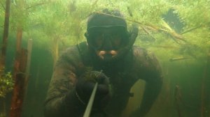 Два выходных- две охоты!