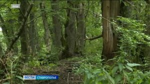 Жители и гости Ставрополья могут отправиться в путешествие по заповедным уголкам