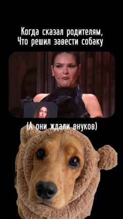 Основано на реальных событиях😂🐶 #животные