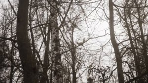 Поездка в Выксу / Love Story