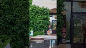 Сочи территория санатория Октябрьский...