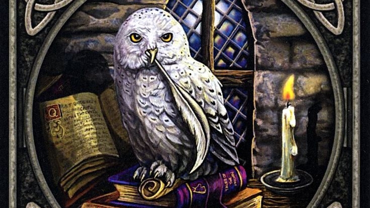 К чему вас жизнь готовит, какие новые уроки придётся пройти. Расклад на 3 варианта