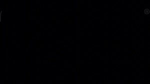 CONGREGATION (ШОУКЕЙС)