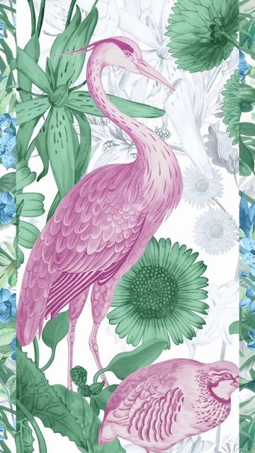 FLORENTINA collection смотреть онлайн