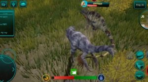 Гнездование ДРУГА.