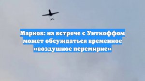 Марков: на встрече с Уиткоффом может обсуждаться временное «воздушное перемирие»