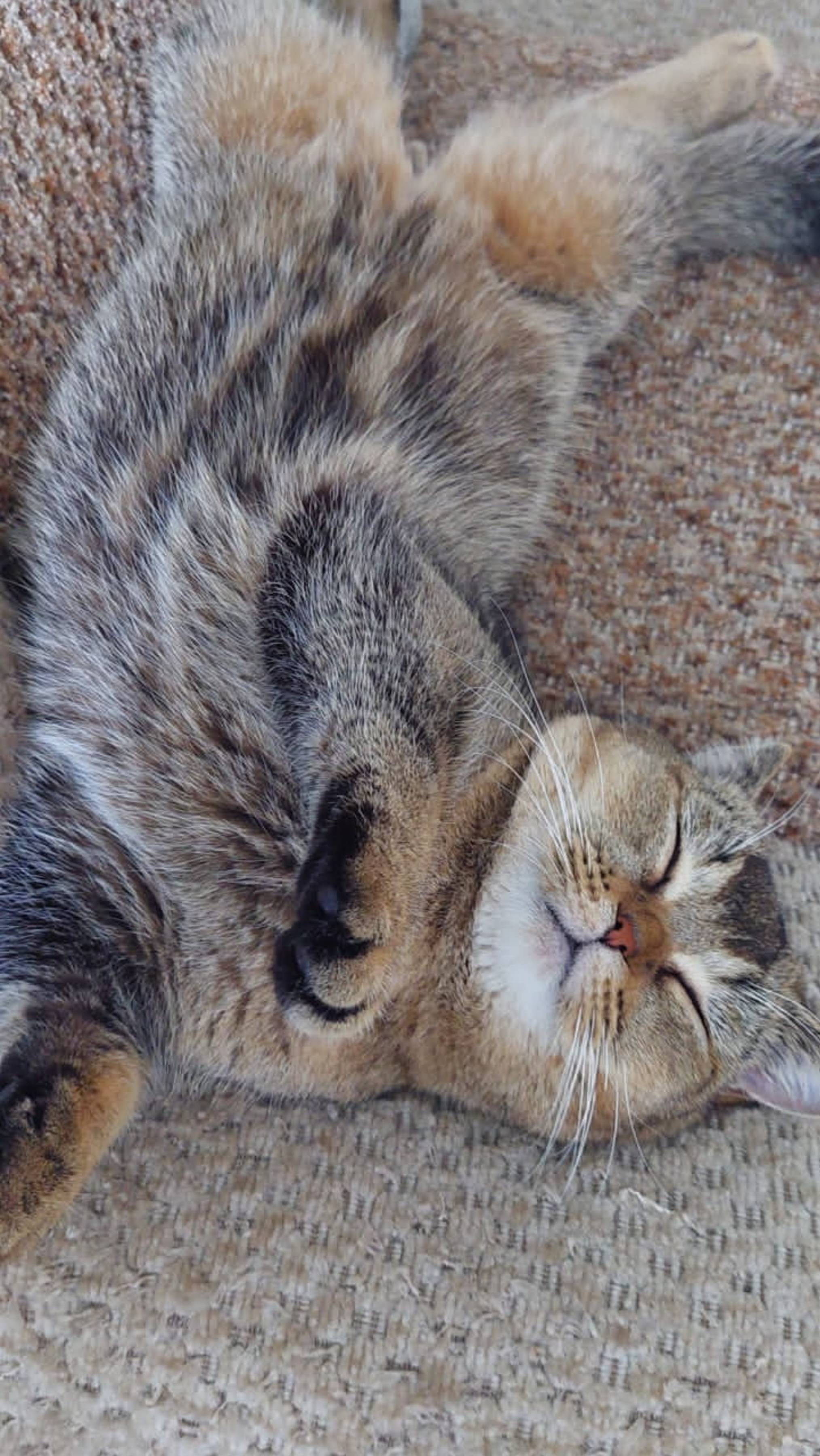 Дайте идею что выкладывать? смотреть онлайн