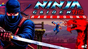 Новый Ninja Gaiden Ragebound Steam Двое в одном