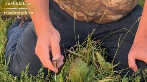 Пять штучных ножей от мастера Антона Предеина