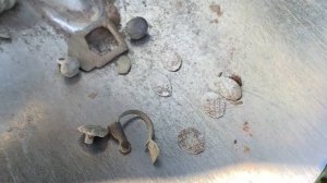 За чешуёй на древнюю селуху!