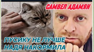 САМВЕЛ АДАМЯН, ЗАВТРА ПУСИКУ К ДРУГОМУ ВРАЧУ, НЕ ЛУЧШЕ, НАДЯ НАКОРМИЛА
