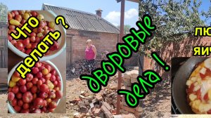 Ейск ! Мои дела во дворе и что делать с помидорками, стоят помытые ?!! 04-08-2025