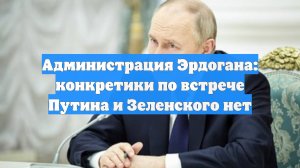Администрация Эрдогана: конкретики по встрече Путина и Зеленского нет