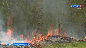 Кировчан просят не посещать леса