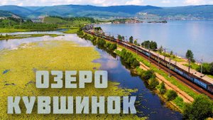 Краснокнижные кувшинки на Байкале