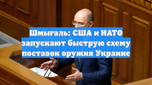 Шмыгаль: США и НАТО запускают быструю схему поставок оружия Украине