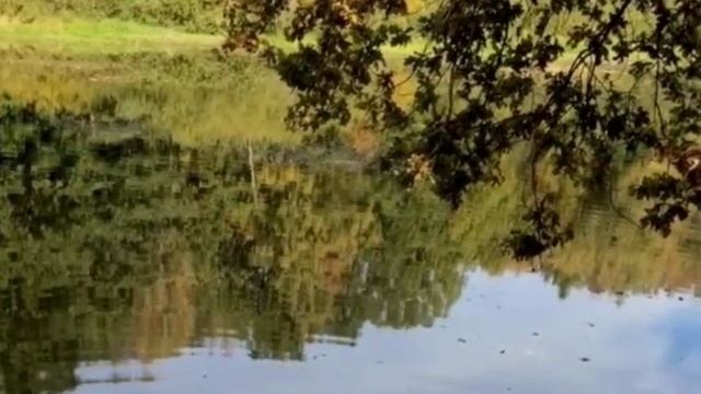 Красивая Азербайджанская песня, пайыз етри смотреть онлайн