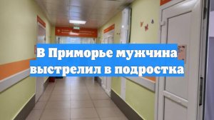 В Приморье мужчина выстрелил в подростка