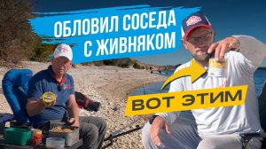 Как ОБЛОВИТЬ СОСЕДА если вместо ЖИВОГО КОМПОНЕНТА кормить КУКУРУЗОЙ