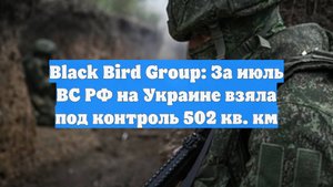 Black Bird Group: За июль ВС РФ на Украине взяла под контроль 502 кв. км