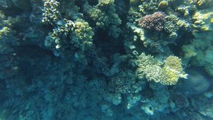 Поплаваем 0.5