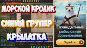 БДО. Морской кролик, Синий групер, Крылатка. Рыболовные Соревнования 4-9.08.2025.