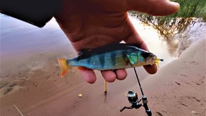 РЫБАЛКА НА РЕКЕ БУРНАЯ.