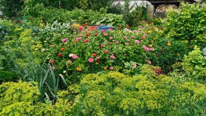 Огород где все растет друг на друге и радует отличным урожаем! Жизнь в селе.