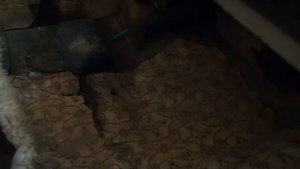 Луаз часть 1 Начало