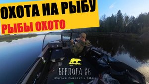 ОХОТА НА РЫБУ !!! ЛОРИК И ОКУНЯ !!))