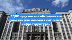 ЛДПР предложила обеспечивать участки для многодетных семей инфраструктурой