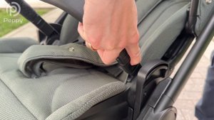 Обзор Peppy Monaco