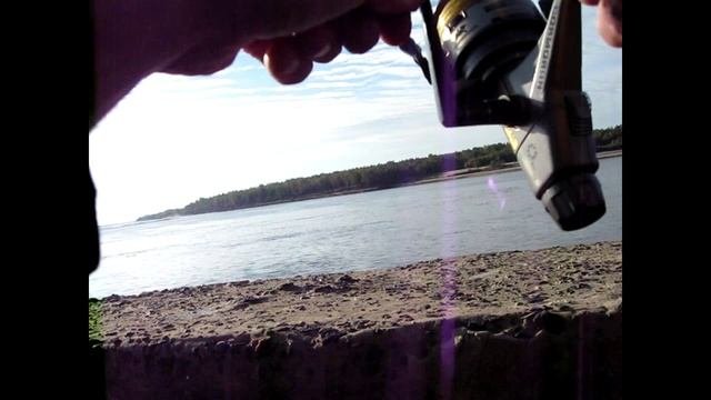 ГОРОДСКАЯ РЫБАЛКА