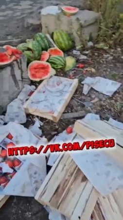 Жительница Новосибирска разнесла точку нелегального торговца