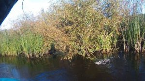 Рыбалка в ручье на щуку с лодки. В Этом Маленьком ручье злые щуки. Рыбалка на спиннинг 2025