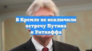 В Кремле не исключили встречу Путина и Уиткоффа