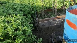 Жизнь в глубинке. Огород как огород.. Вся в траве. 02.07.25