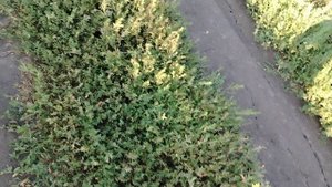 Место там где я чуть ли не разбился на скутере вместе с другом