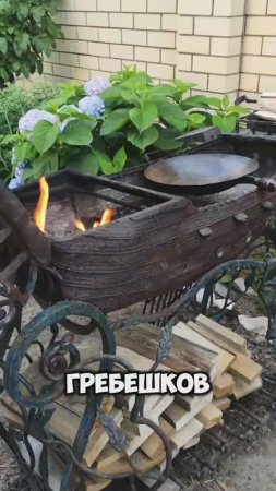 Нежные гребешки в сливочном соусе: вкусно и легко #вкусныерецепты #рецепты #ужинрецепт