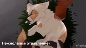 Коты воители: Смерти любимых персонажей