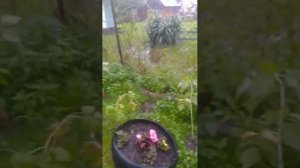 пять ночей в подъезде